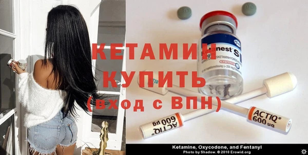 стафф Арсеньев