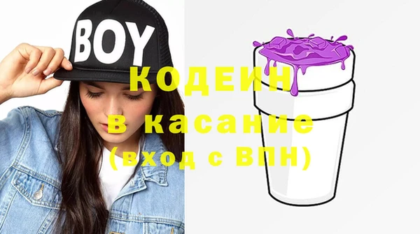 стафф Арсеньев