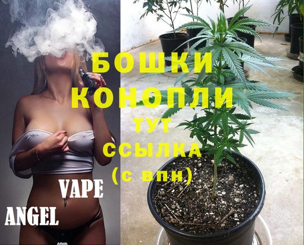 стафф Арсеньев