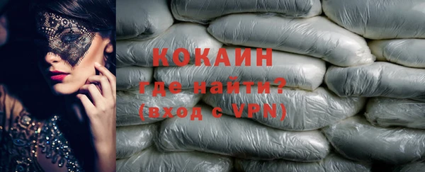 стафф Арсеньев